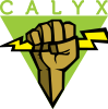 calyx