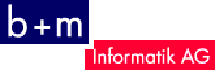B+M Informatik AG